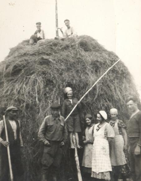 Iso-Raution heinäväki